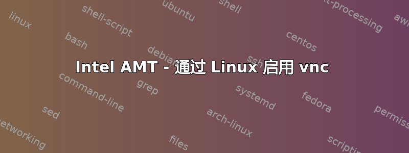 Intel AMT - 通过 Linux 启用 vnc