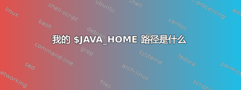 我的 $JAVA_HOME 路径是什么