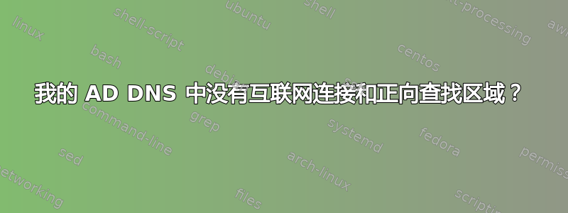 我的 AD DNS 中没有互联网连接和正向查找区域？