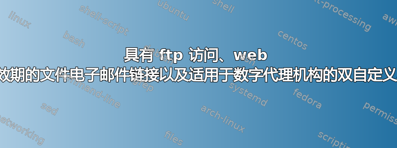 具有 ftp 访问、web 文件访问、带有有效期的文件电子邮件链接以及适用于数字代理机构的双自定义界面的服务器软件