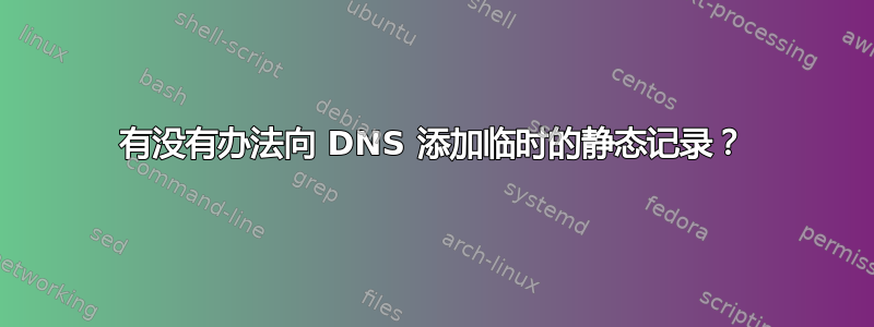 有没有办法向 DNS 添加临时的静态记录？