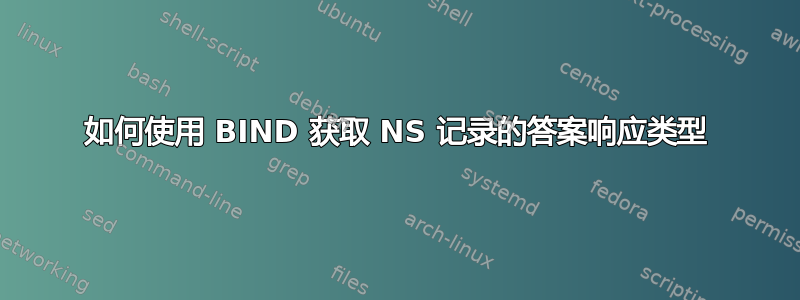 如何使用 BIND 获取 NS 记录的答案响应类型