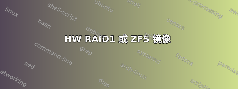 HW RAID1 或 ZFS 镜像