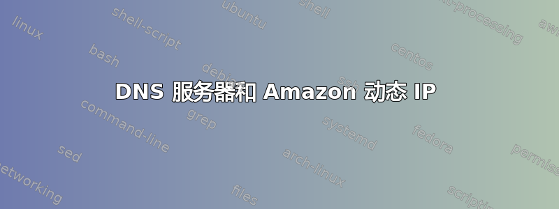 DNS 服务器和 Amazon 动态 IP