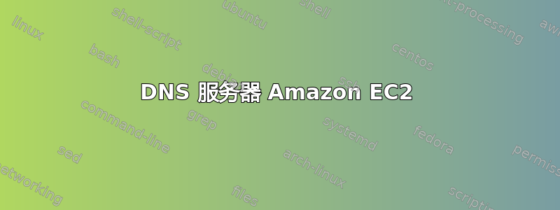 DNS 服务器 Amazon EC2