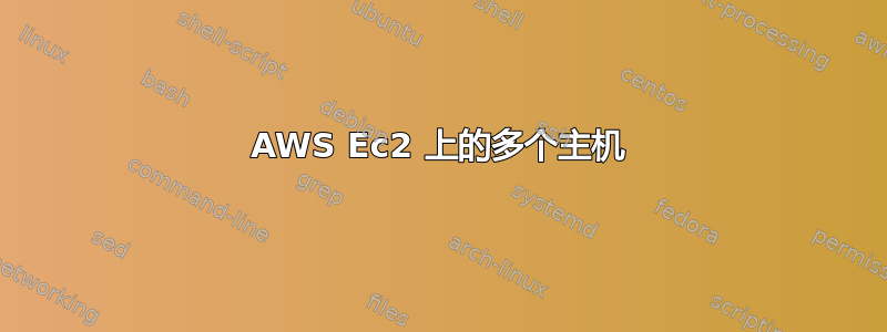 AWS Ec2 上的多个主机