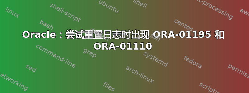 Oracle：尝试重置日志时出现 ORA-01195 和 ORA-01110