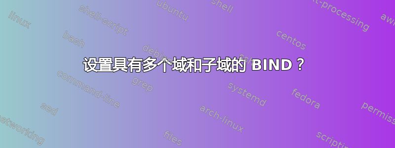 设置具有多个域和子域的 BIND？