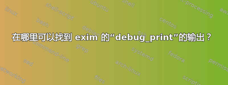 在哪里可以找到 exim 的“debug_print”的输出？