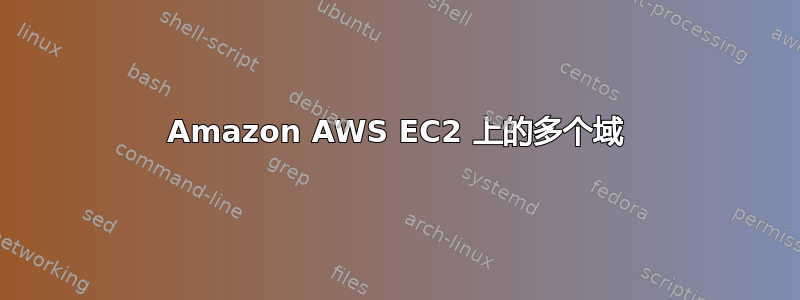 Amazon AWS EC2 上的多个域