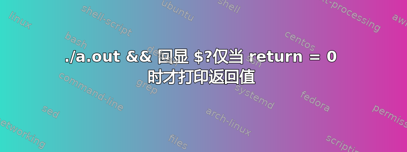 ./a.out && 回显 $?仅当 return = 0 时才打印返回值