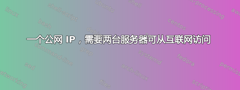 一个公网 IP，需要两台服务器可从互联网访问