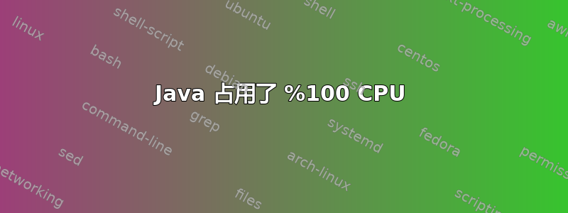 Java 占用了 %100 CPU