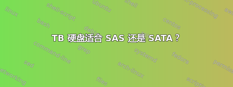 3 TB 硬盘适合 SAS 还是 SATA？