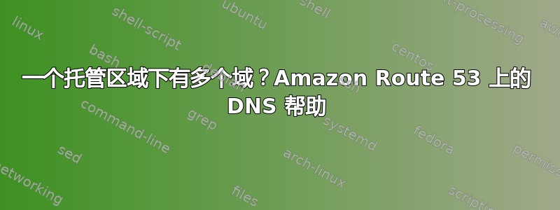 一个托管区域下有多个域？Amazon Route 53 上的 DNS 帮助