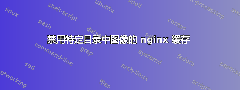 禁用特定目录中图像的 nginx 缓存