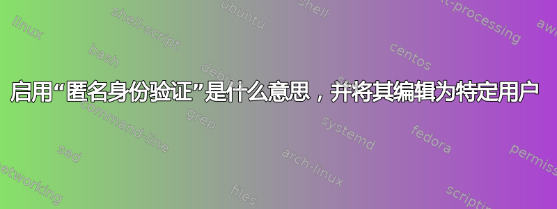 启用“匿名身份验证”是什么意思，并将其编辑为特定用户