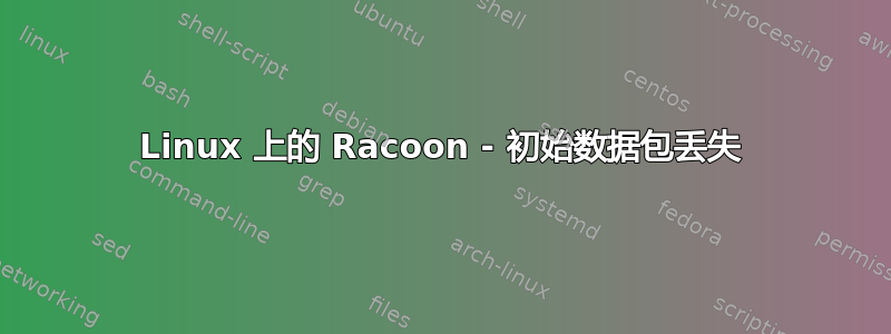 Linux 上的 Racoon - 初始数据包丢失