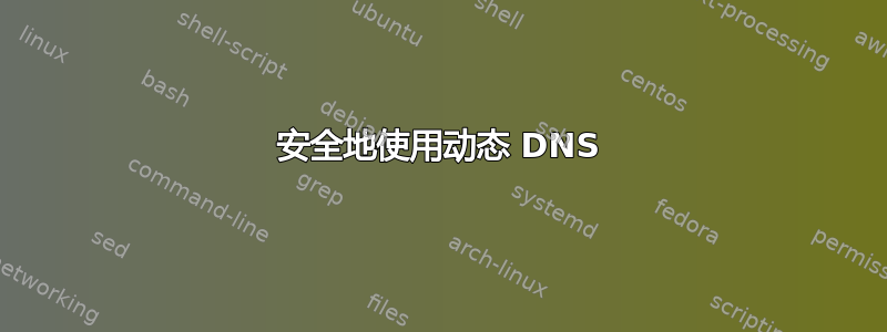 安全地使用动态 DNS