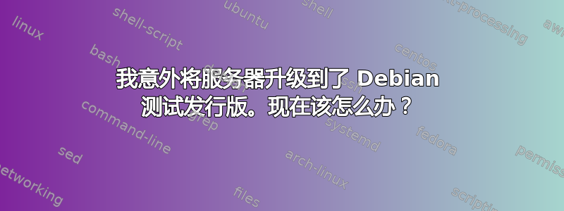 我意外将服务器升级到了 Debian 测试发行版。现在该怎么办？