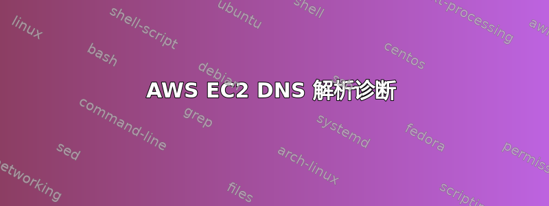 AWS EC2 DNS 解析诊断