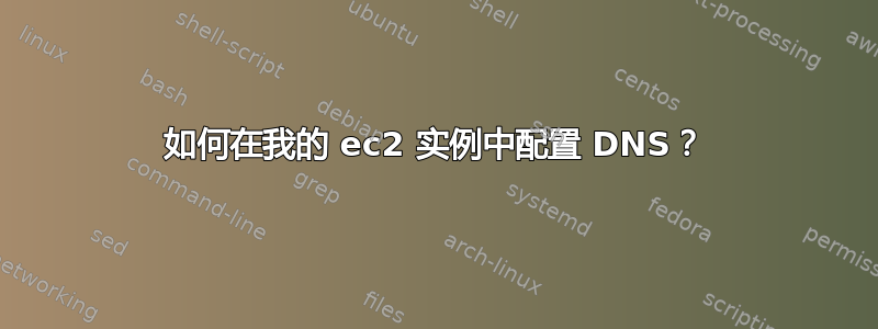 如何在我的 ec2 实例中配置 DNS？