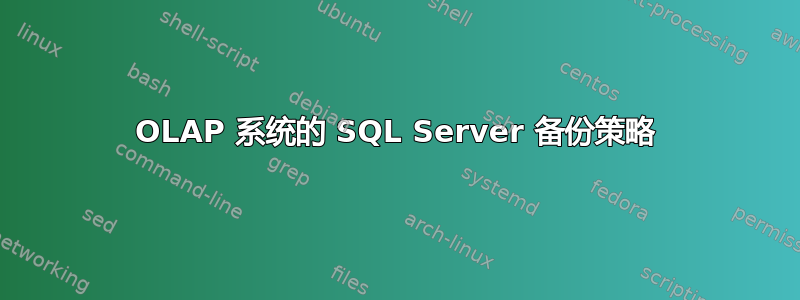 OLAP 系统的 SQL Server 备份策略