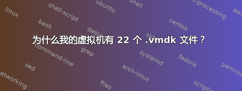 为什么我的虚拟机有 22 个 .vmdk 文件？