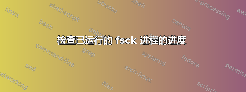 检查已运行的 fsck 进程的进度