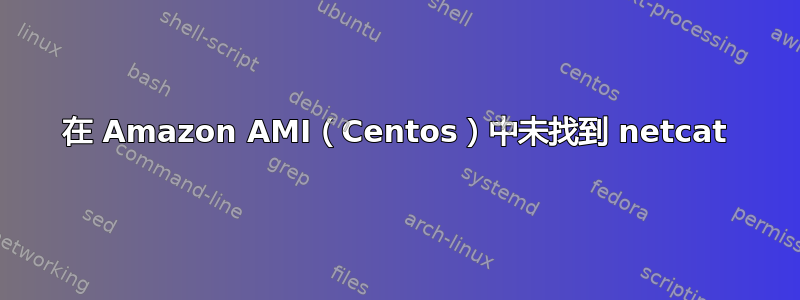 在 Amazon AMI（Centos）中未找到 netcat