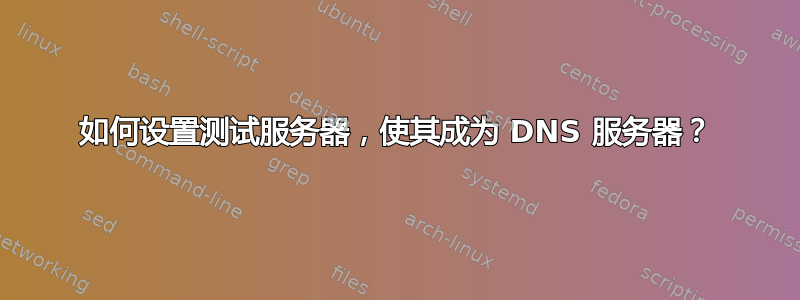 如何设置测试服务器，使其成为 DNS 服务器？