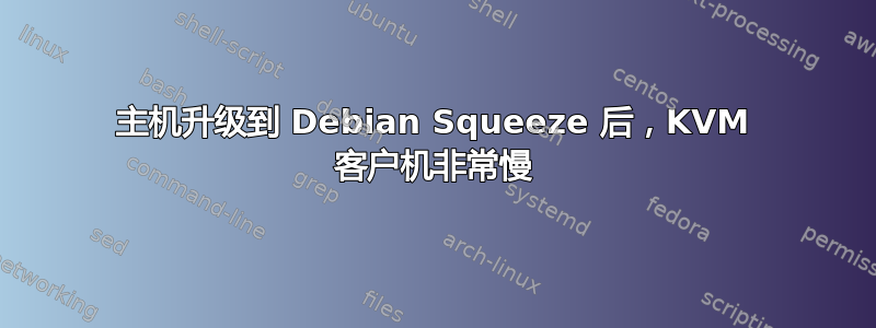 主机升级到 Debian Squeeze 后，KVM 客户机非常慢