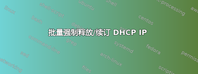 批量强制释放/续订 DHCP IP