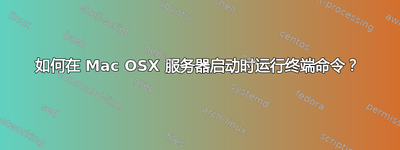 如何在 Mac OSX 服务器启动时运行终端命令？