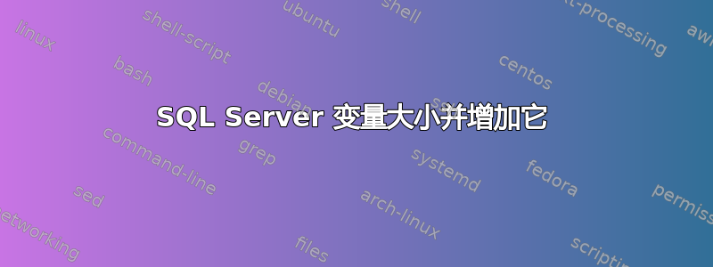 SQL Server 变量大小并增加它