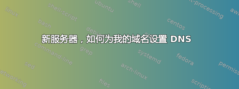 新服务器，如何为我的域名设置 DNS 