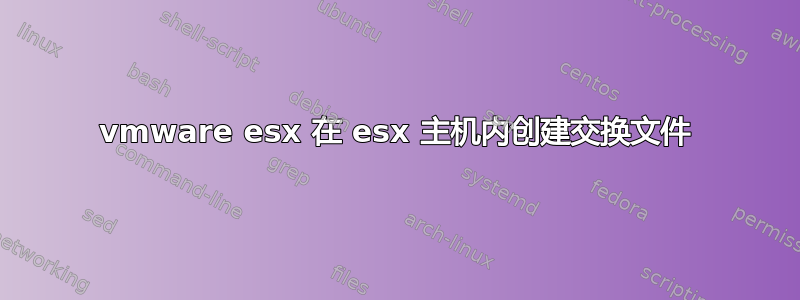 vmware esx 在 esx 主机内创建交换文件