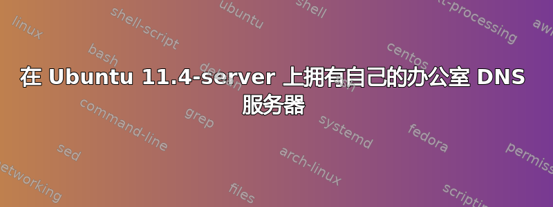 在 Ubuntu 11.4-server 上拥有自己的办公室 DNS 服务器