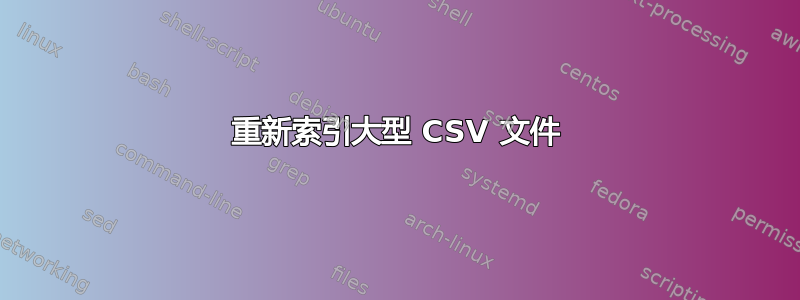 重新索引大型 CSV 文件