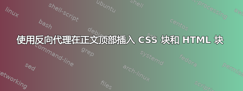 使用反向代理在正文顶部插入 CSS 块和 HTML 块