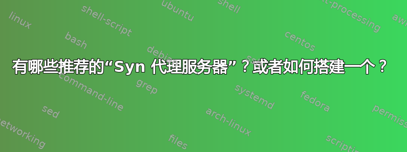 有哪些推荐的“Syn 代理服务器”？或者如何搭建一个？