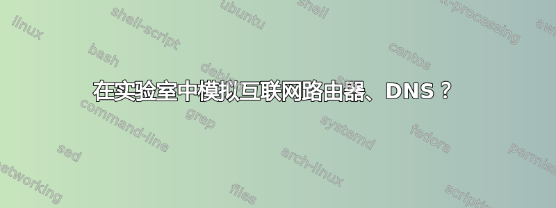 在实验室中模拟互联网路由器、DNS？