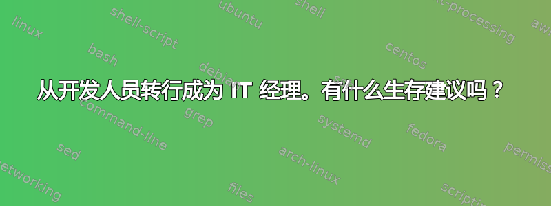 从开发人员转行成为 IT 经理。有什么生存建议吗？