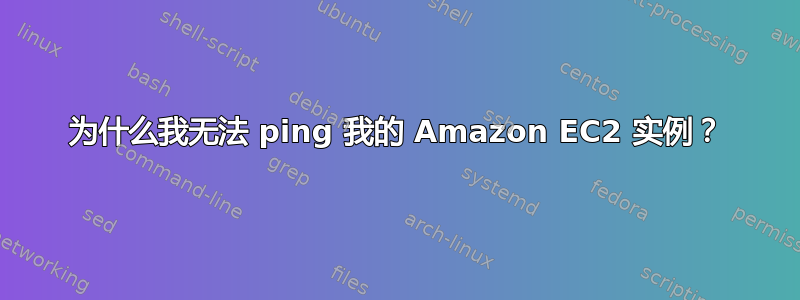 为什么我无法 ping 我的 Amazon EC2 实例？