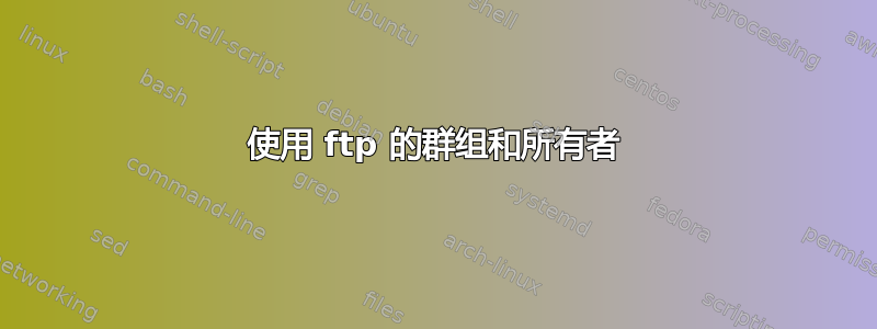 使用 ftp 的群组和所有者