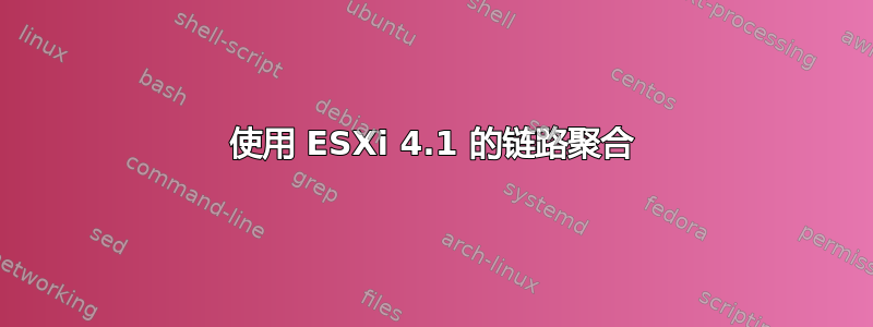 使用 ESXi 4.1 的链路聚合