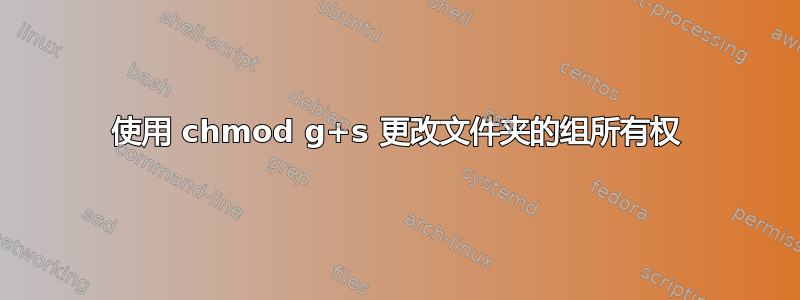 使用 chmod g+s 更改文件夹的组所有权