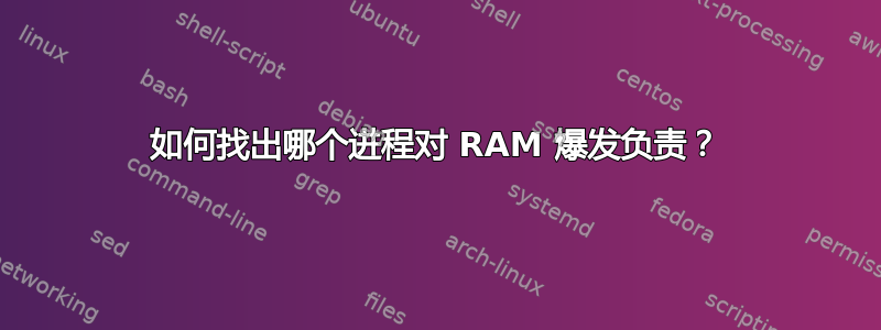 如何找出哪个进程对 RAM 爆发负责？