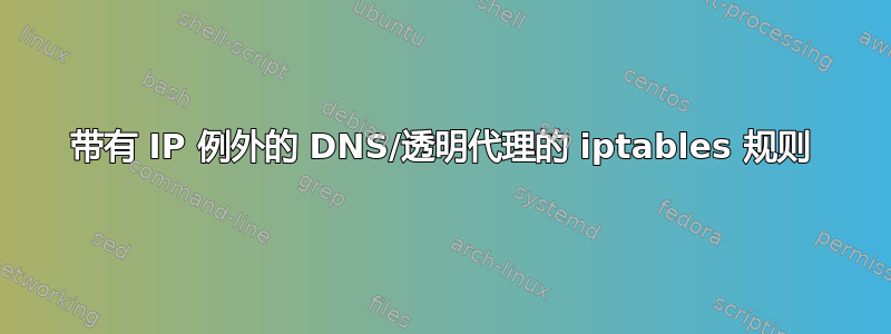 带有 IP 例外的 DNS/透明代理的 iptables 规则