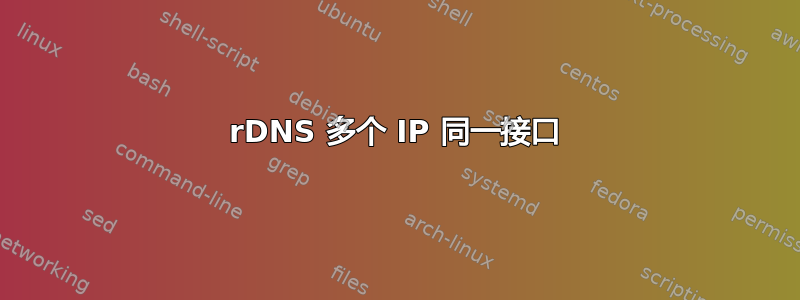 rDNS 多个 IP 同一接口